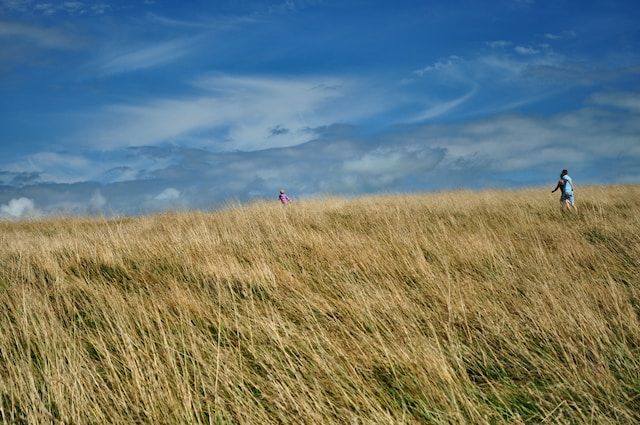 A field of grass under a broad blue sky. In the field a person in a red shirt is pursued by another in blue.