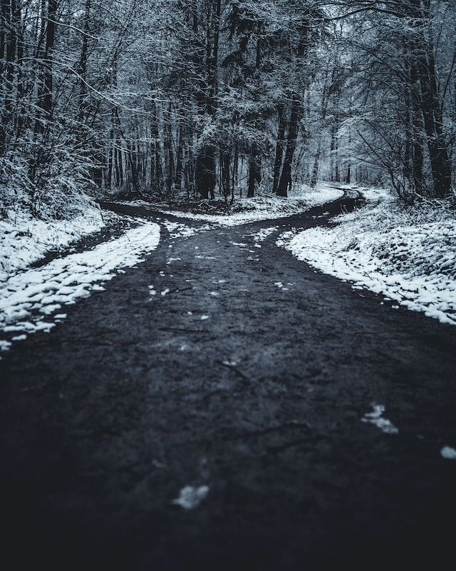 A path diverges into two forks in a snowy wood.